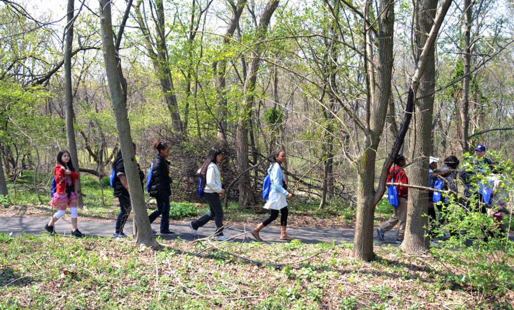 Children walking in the woods
